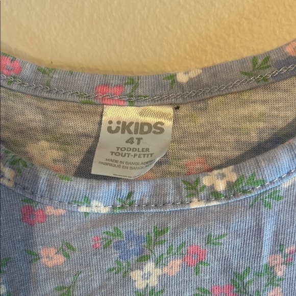 Blue Scoop Neck Sleeveless Sundress - Picture 2 of 6